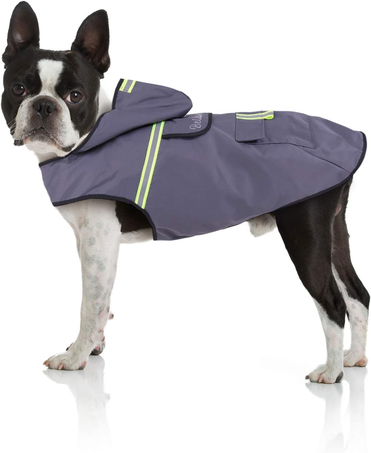 Bella & Balu Impermeabile Cane - Cappotto impermeabile per cani con cappuccio e catarifrangenti per protezione dal freddo, pioggia e neve in inverno e in vacanza. (S, Grigio)