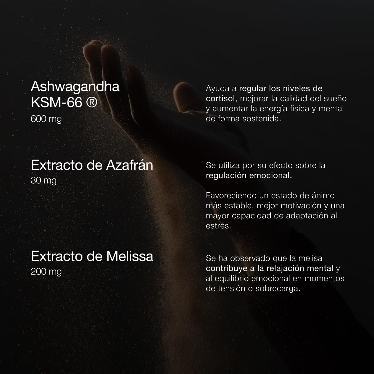 ZZEN Calm - Ashwagandha KSM-66 de 600 mg con Azafrán y Melissa, Extracto de la Raíz de Withania Somnifera, 60 Cápsulas Veganas y Naturales, Suplemento Adaptógeno