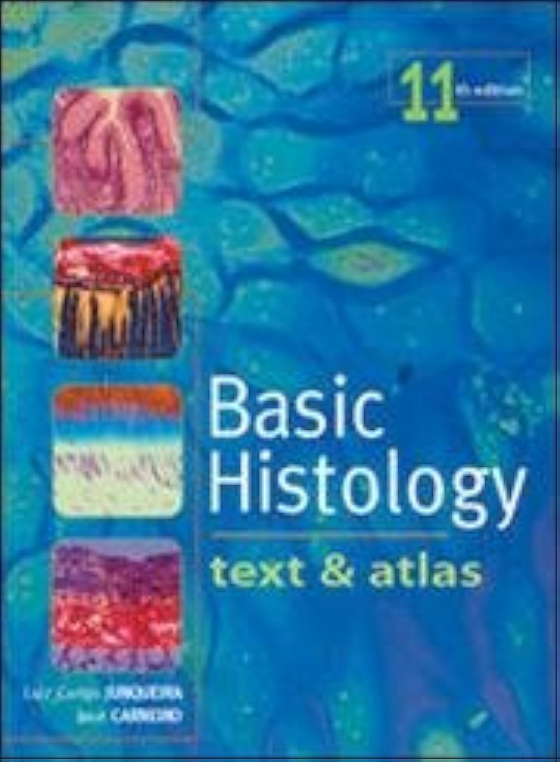 健康・医学 Junqueira's Basic Histology Text & Atlas Amazon | Junqueira's Basic Histology: Text and Atlas