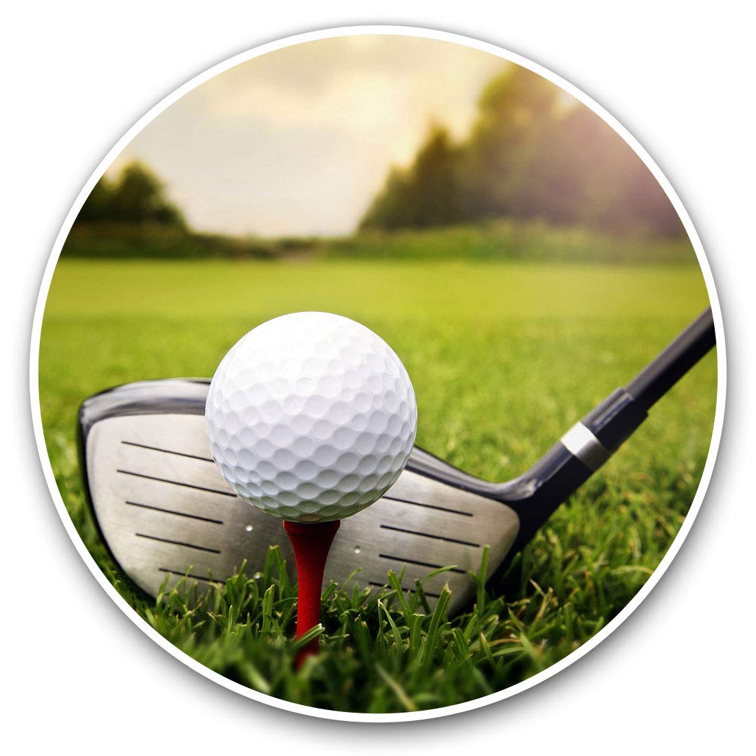 Destination Vinyl Ltd Golf Ball Sports 8801 2 X 30Cmvinyl Stickers - Golf Ball Sports Decals For Car Van Luggage Scrap Book Fridge #8801