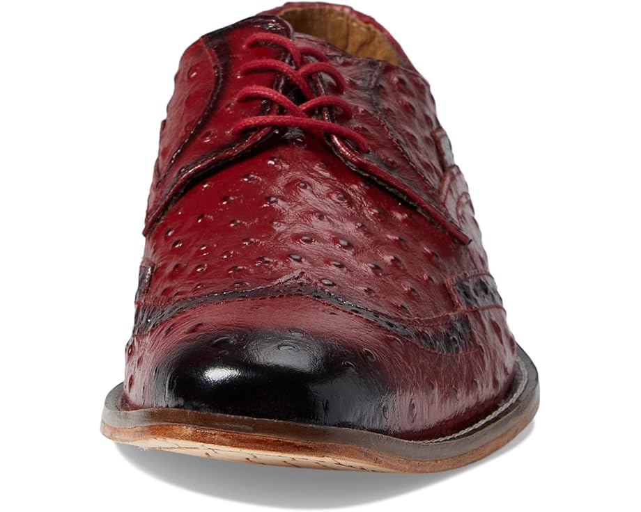 Stacy Adams Gennaro Wing Tip Oxford - Front View
