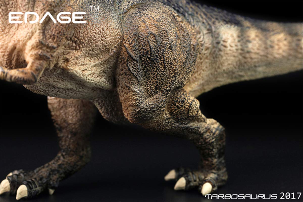 Amazon | EDAGE 1/35 サイズ タルボサウルス Tarbosaurus 竜脚類 肉食