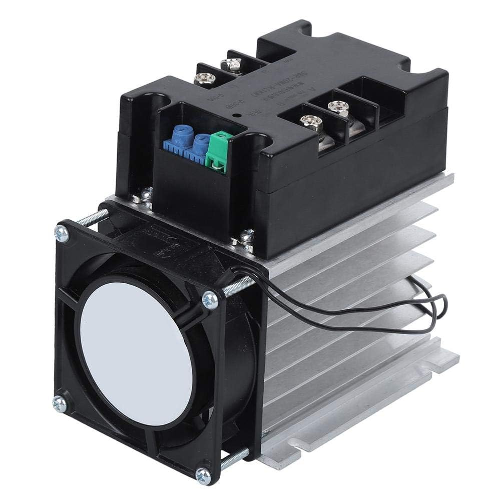 Walfront Contrôleur de Démarrage Progressif 220VAC pour Moteur Monophasé/2 Phases, Fond en Aluminium, Fréquence 50-60Hz (Module + Radiator)