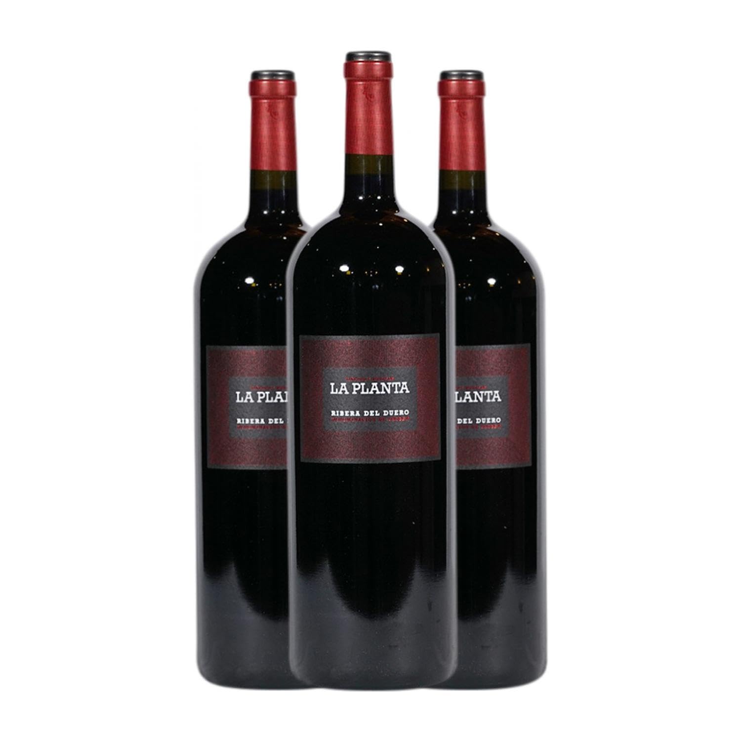 Arzuaga La Planta Tempranillo Ribera del Duero Joven Botella Magnum 1,​5 L Vino tinto (Caja de 3 Botella Magnum de 1,​5 L)