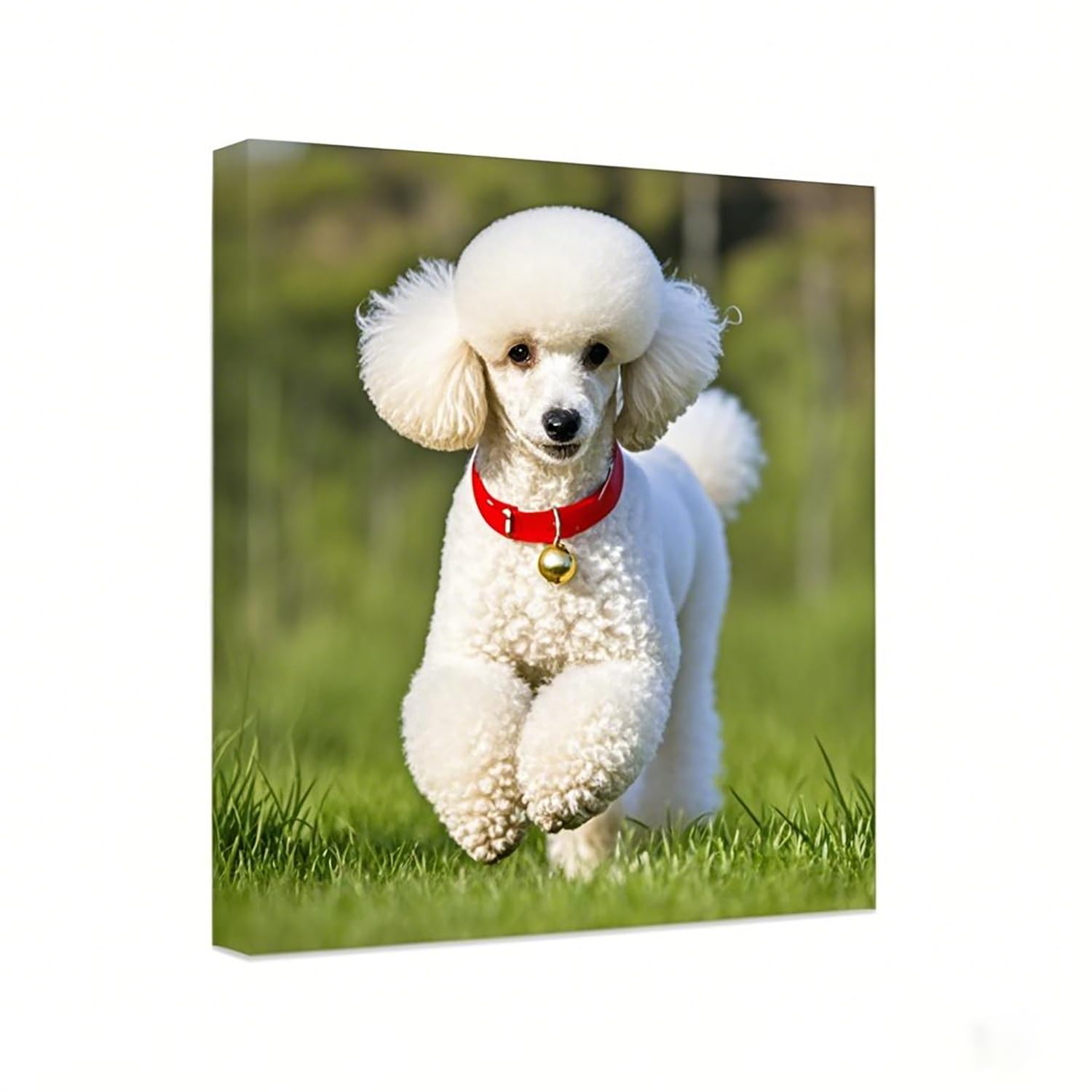 Personalized Photo to Canvas Print - Canvas Prints With Your Photos on Custom Wall Art for Bedroom, Living Room, Wedding Baby Pet Family Picture