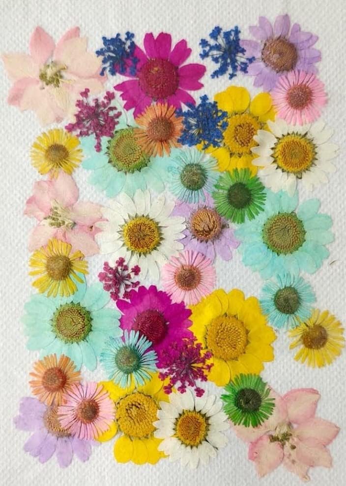 Rêvées Clive 36 in 1 Dried Pressed Flowers for Art Craft Mixed Soap, Candle, Scrapbook, DIY, Resin Tray Jewellery, Pendant (Mix Colors)-image-36