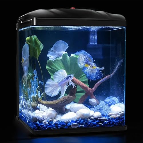 Small Fish Tank, 2 Gallon Glass Aquarium, Betta Fish Shrimp Goldfish Tropical Fish Starter Kit Self Cleaning with Filter & LED Plant Light, Ultra-Quiet Kids Room Decoration Fish Tank