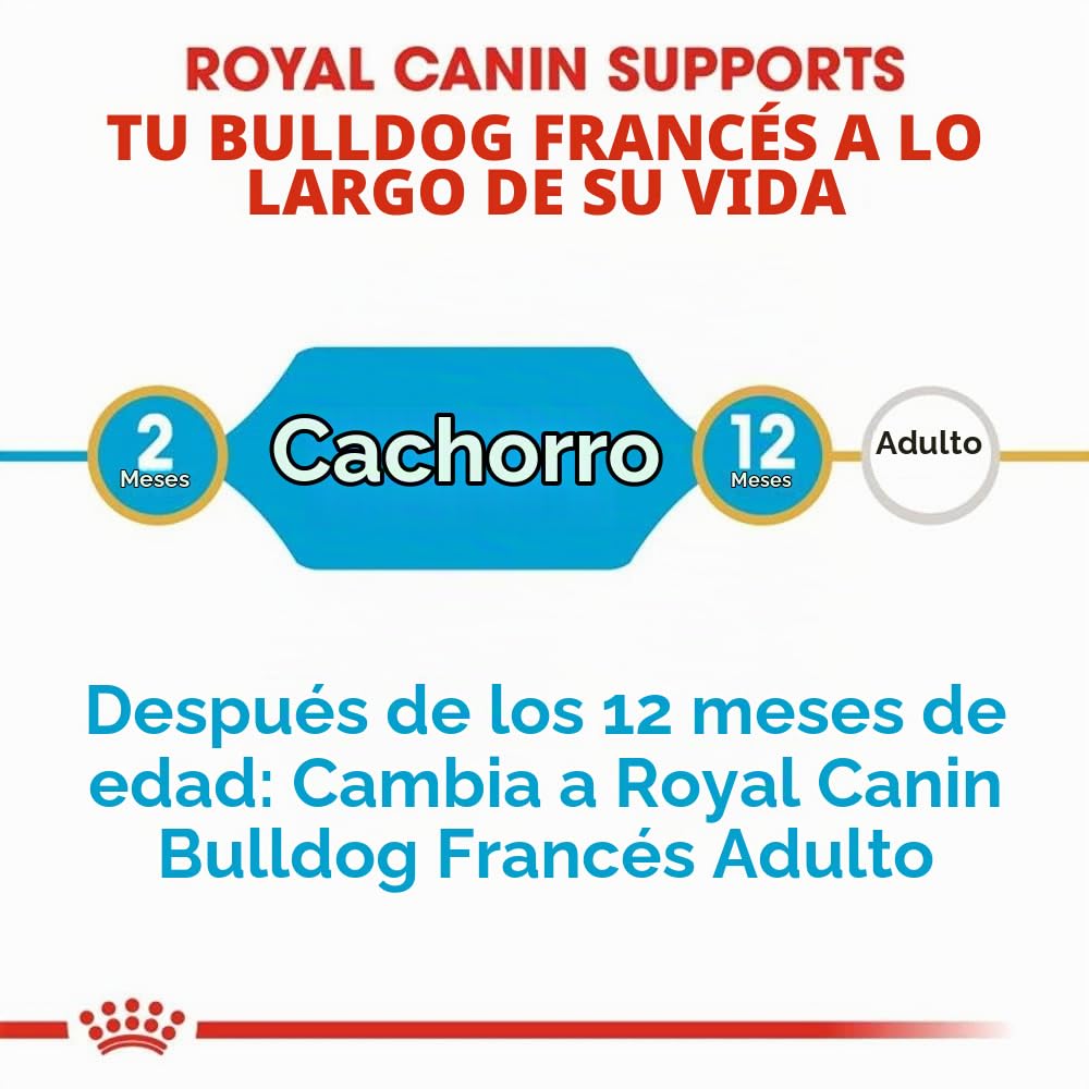 Royal Canin C-09008 Bulldog Frances Puppy - 10 Kg