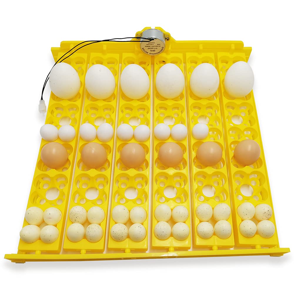 Bandeja de Huevos para incubadora, giratoria, automática, con Motor, para Pollos, Patos y pájaros (220 V)