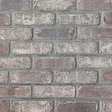 Brickwebb Thin Brick Sample (Box of 4) - Rushmore