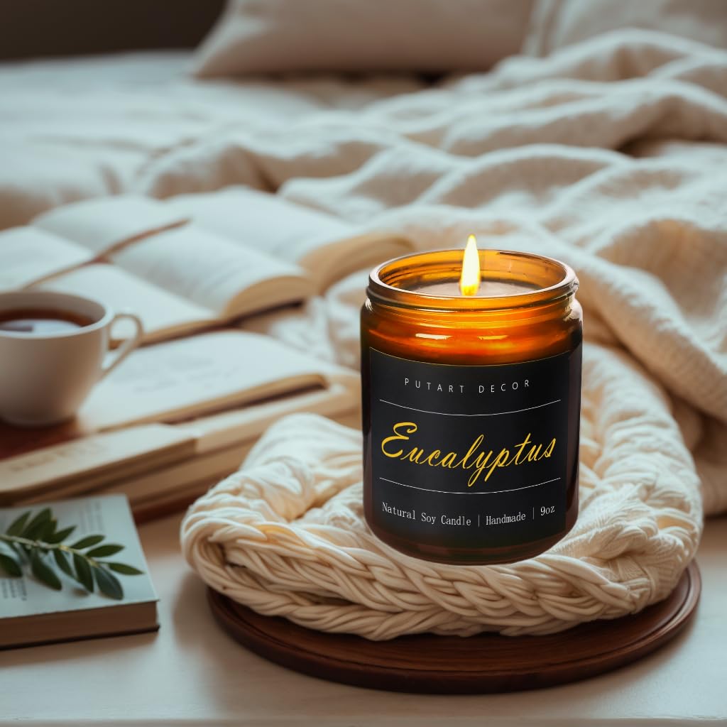 Velas de eucalipto y menta para el hogar, aromaterapia de soja natural, velas no tóxicas con fragancia de larga duración y combustión limpia, vela en tarro de lujo regalo para mujeres, hombres
