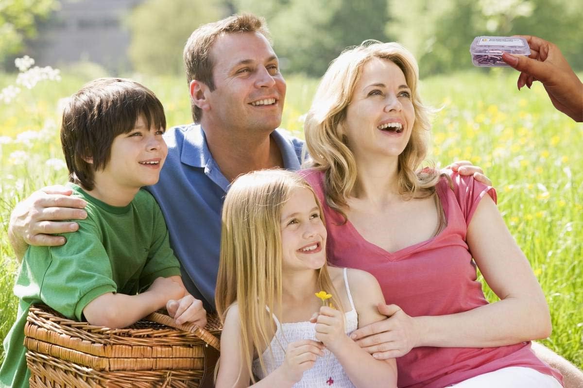 Chеареѕt 🛒 Pack of 30 Clips - Premium Quality Replacement Elastic Bandage Clips for Bandages,Compression Bandages,Crepe Bandages,Cotton Bandages,Bandage Wrap Clips-Secure Elastic Fastener Bandage Clips Only. Bеѕt Cуbеr Dеаlѕ 🔥 Pack of 30 Clips - Premium Quality Replacement Elastic Bandage Clips for Bandages,Compression Bandages,Crepe Bandages,Cotton Bandages,Bandage Wrap Clips-Secure Elastic Fastener Bandage Clips Only.