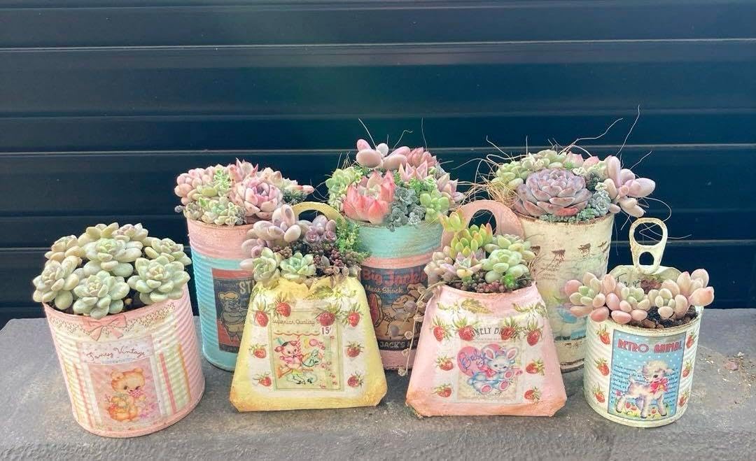 父の日 寄せ植え 多肉植物 寄せ植え 本 多肉植物 寄せ植え プレゼント