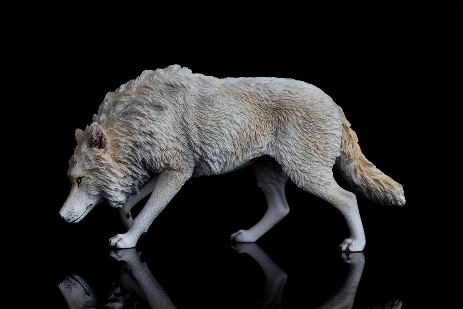 Amazon | 1/6 サイズ コヨーテ オオカミ 狼 ウルフ 動物