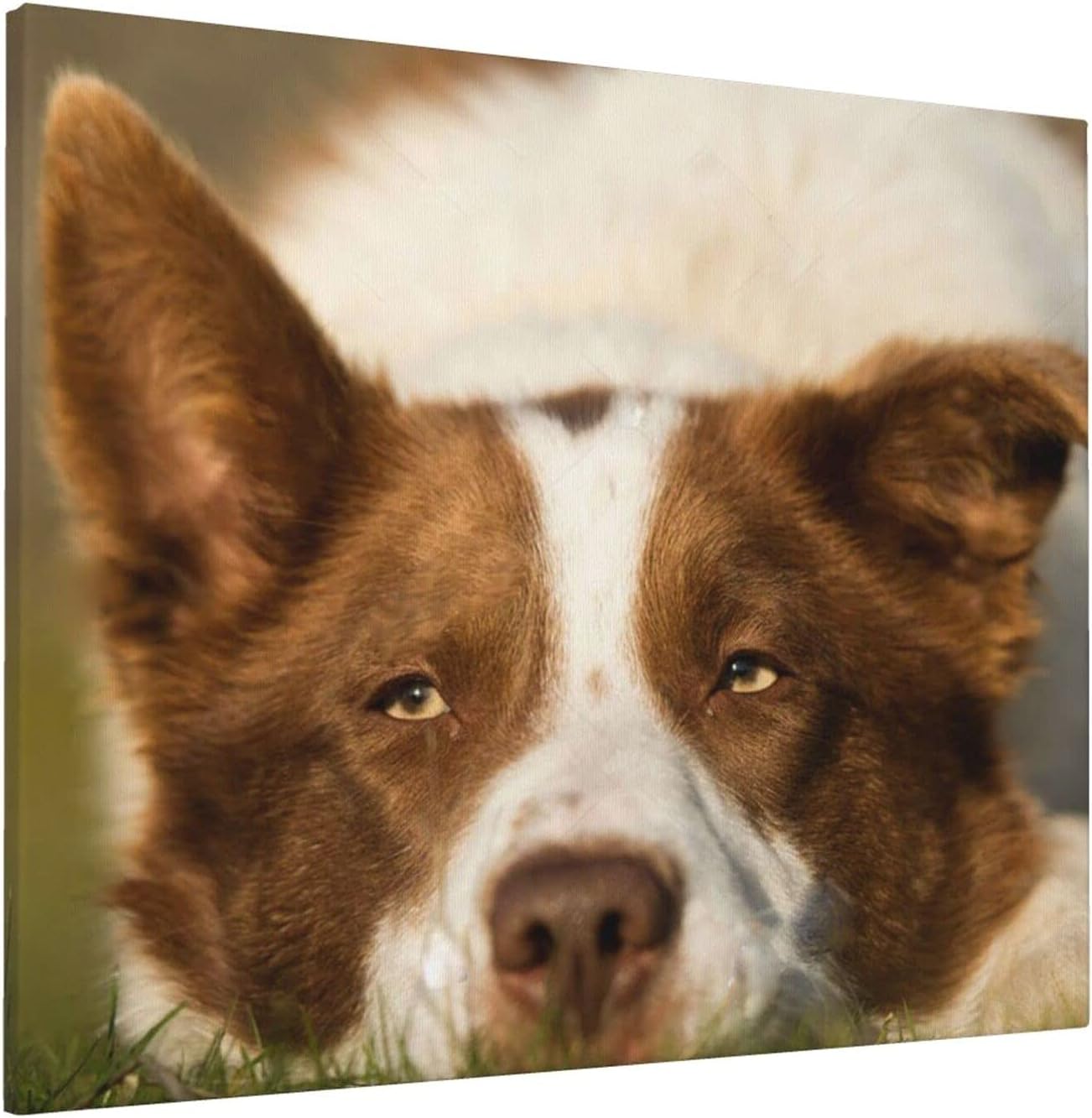 Amazon.co.jp SUIGETUアートパネルインテリアアート カレリアンベアドッグ絵画 インテリア アートポスター おしゃれ