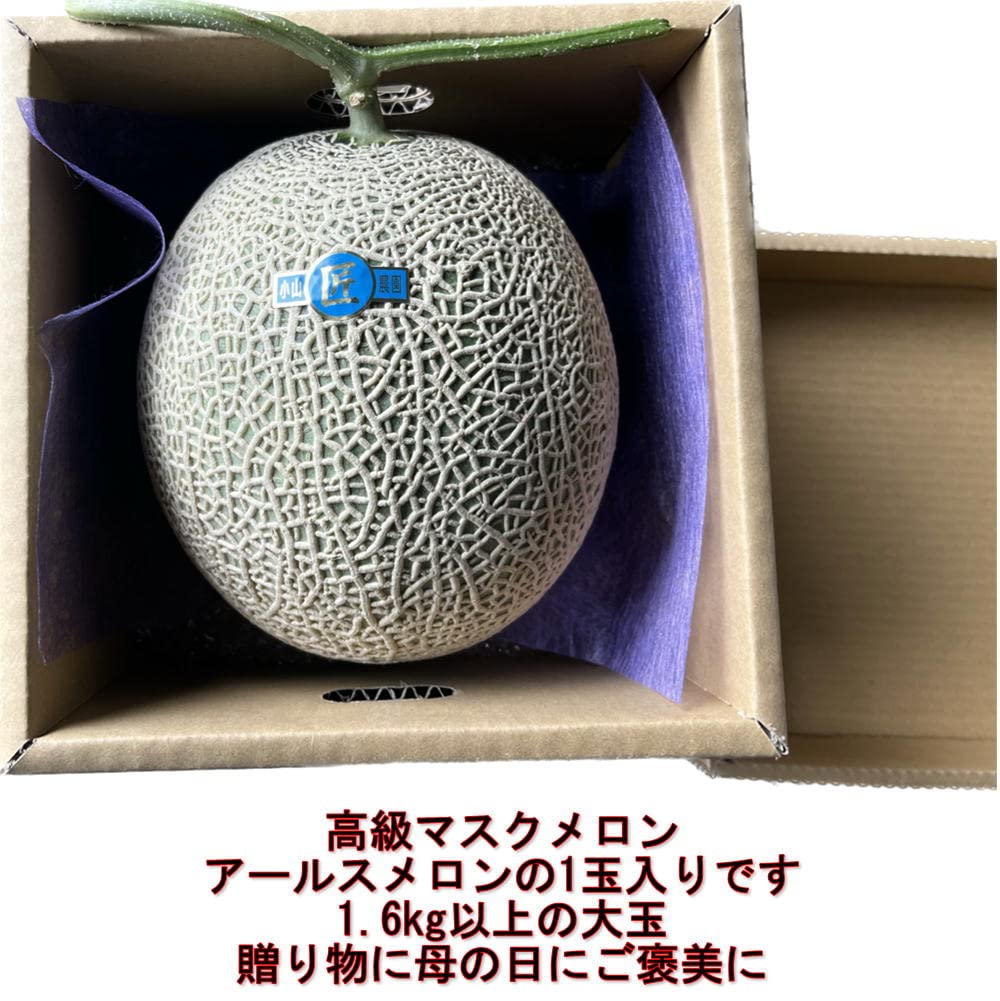 Amazon.co.jp: 高級マスクメロン 大玉 1玉入り(1.6kg以上