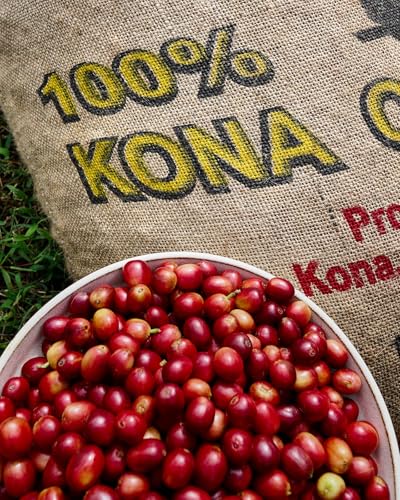 Typica - Ainanani Kona Coffee en grano 10 oz miniatura 2