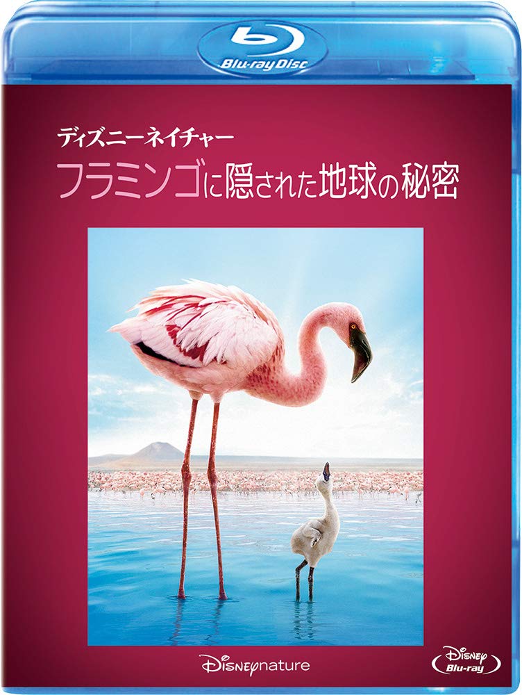 ディズニーネイチャー　ブルーレイ・コレクション Blu-ray Amazon.co.jp: ディズニーネイチャー ブルーレイ・コレクション