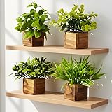 Decorebugs Artificial Potted Plants in Wooden Pot (4 Pack) Eucalyptus Plants Small Plants for Home Decor | Office Decor |DB-8149