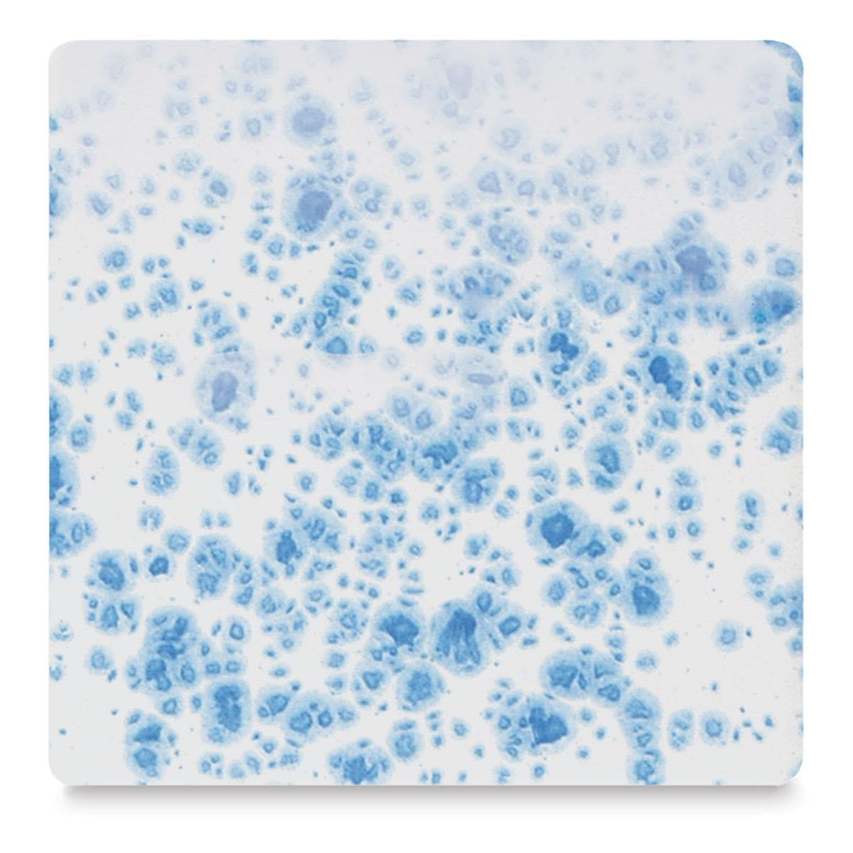 Jungle Gems Crystal Glaze - Dutch Enamelware, Pint