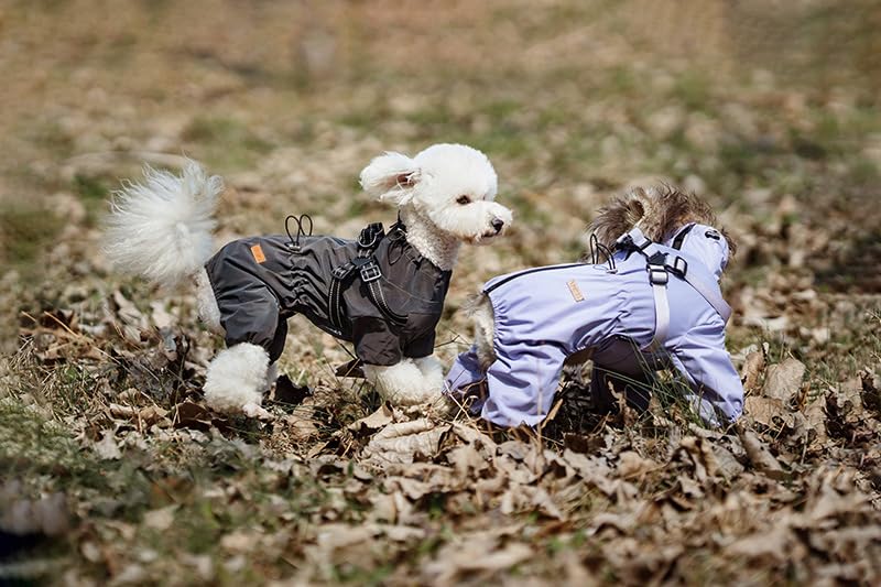 BT Bear Hundegeschirr-Regenmantel, verstellbare 4 Beine, Hunde-Regenjacke mit Geschirr, reflektierender Overall, Wasserabweisender Hunde-Regenmantel für kleine Hunde, Grau, Größe L