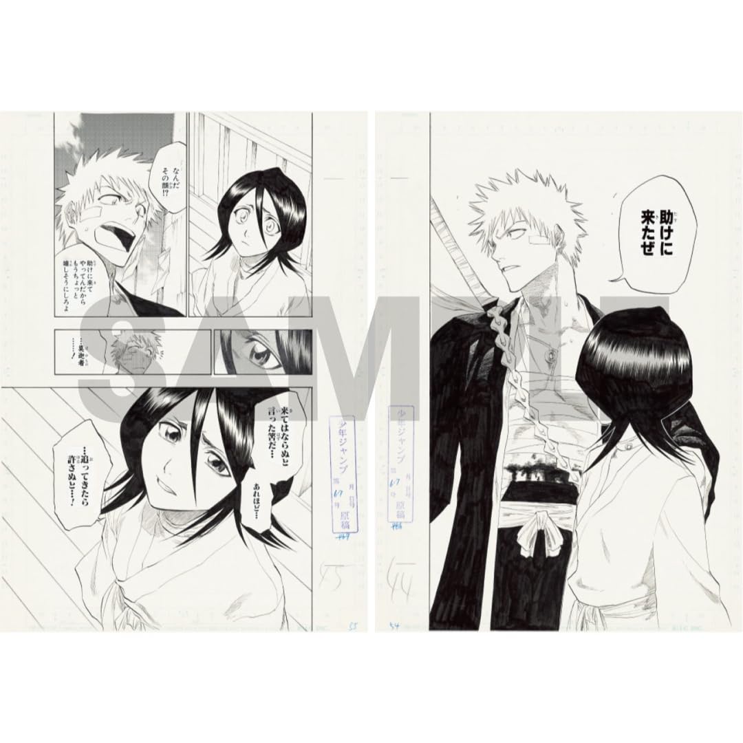 Amazon.co.jp: BLEACH 原画展 複製原画 黒崎一護 朽木ルキア : おもちゃ