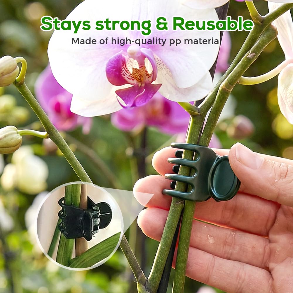 Supporti per Piante. Clip for Piante rampicanti, Orchidee, pomodori, cetrioli, Viti - 100/200/300 Pezzi(300PC)