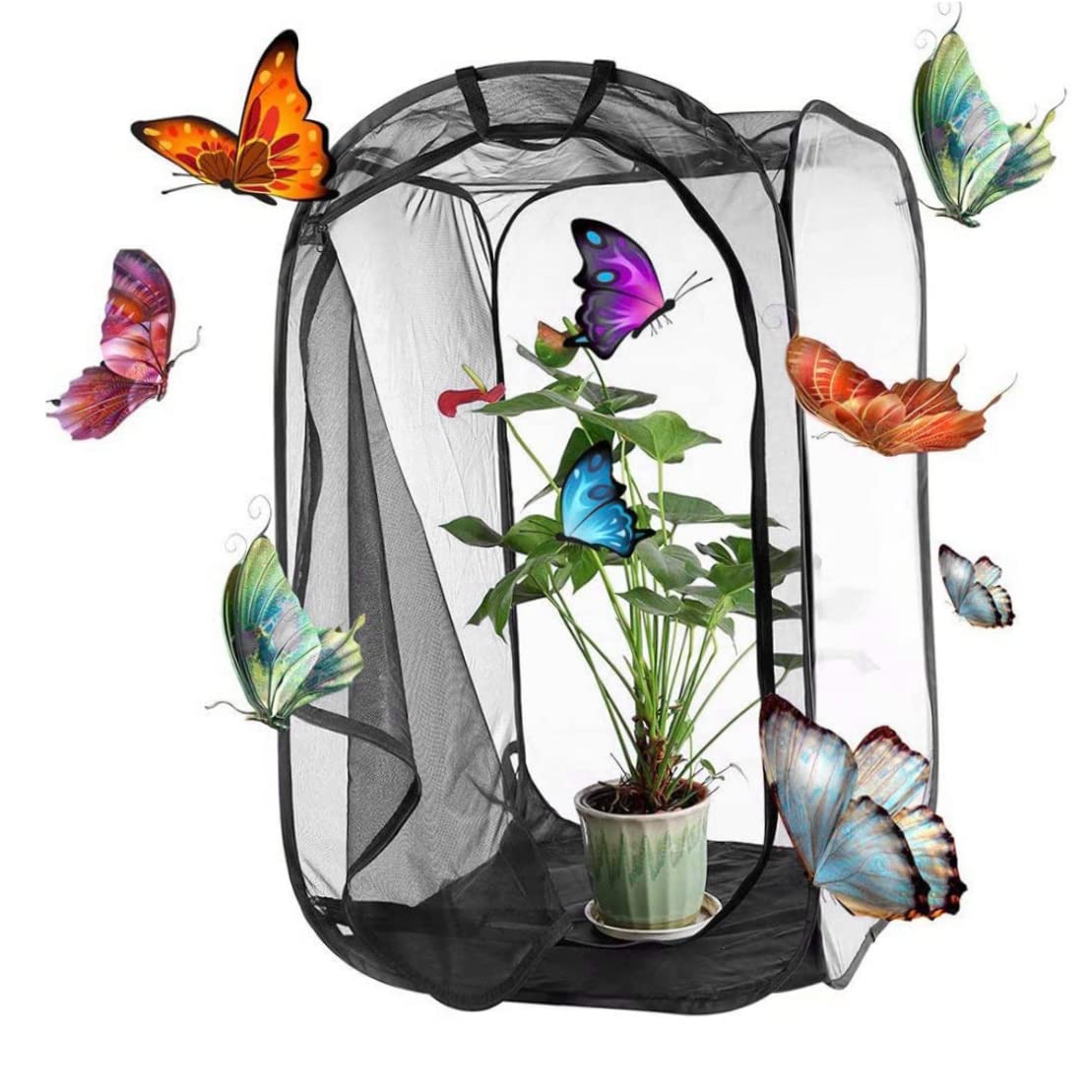 Gardening Stick Insect Enclosure, 15.8x15.8x23.6inch Collapsible Butterfly Cage Transparent Insect Cage Net with Zipper and Handle Caterpillar Butterfly Habitat, Style 2