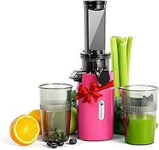 Ventray Ginnie Mini Cold Press Juicer, Small Slow Masticating Juicer for...