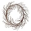 Neolartes 6ft red pip berry garland for christmas craft decor or celebrations embellishing  urban country home decor