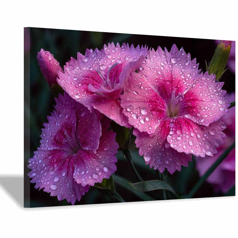 ZAMAEIU Landscape Pictures For Wall Dianthus art prints and posters, Suitable for Living Room Bedroom Decor apartment Wall Decoration(pink)-60x90cm Framed