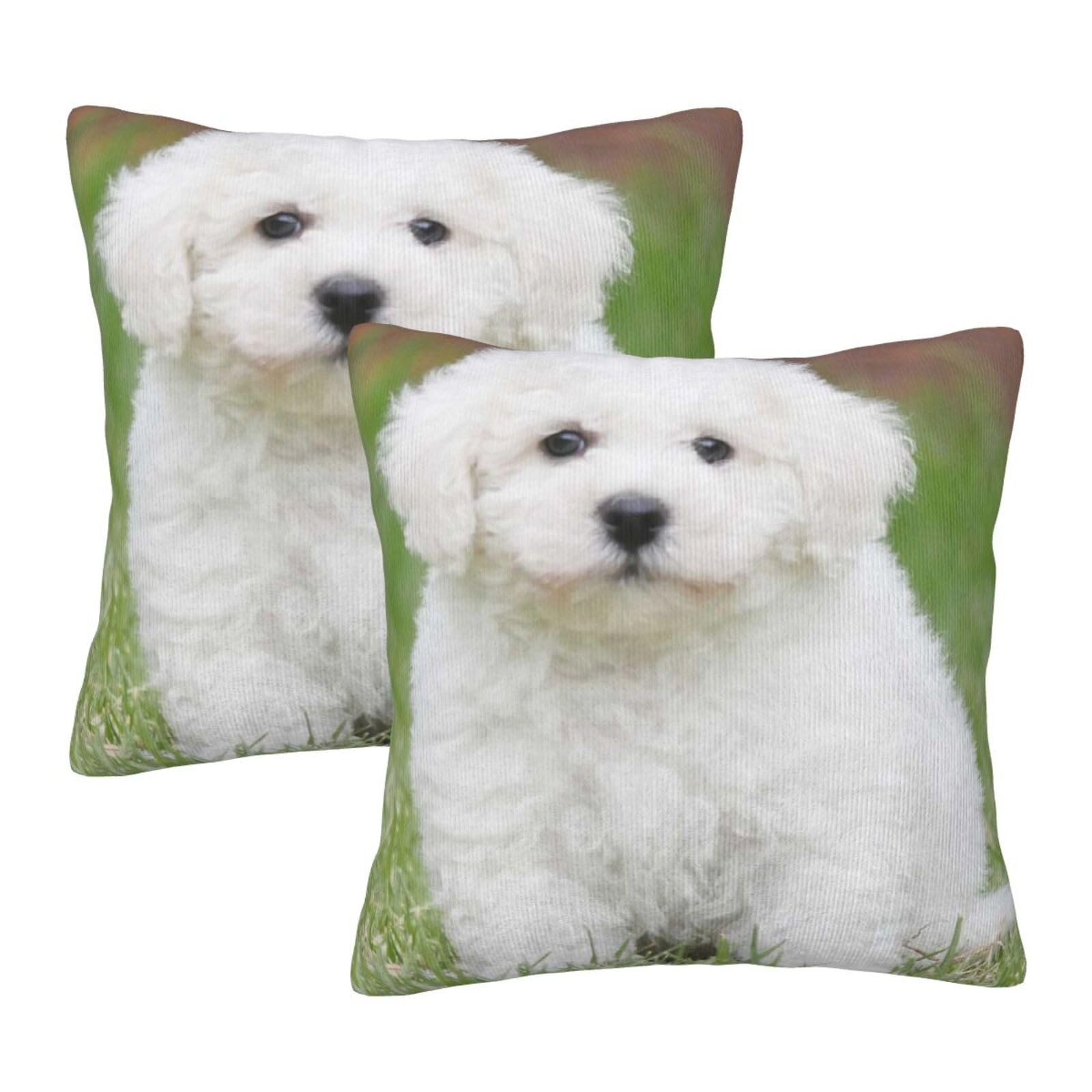 Taies d'oreiller carrées Bichon Frisé | Lot de 2 housses de coussin 65x65 cm pour lit