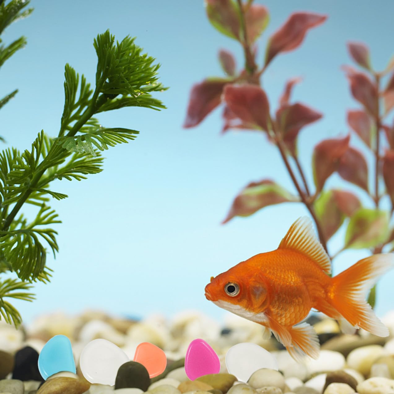POPETPOP 1000pcs Multi-Color Decorative Aquarium Pebbles Fish Rocks for Tank for Flowerpots Craft Projects and Landscaping