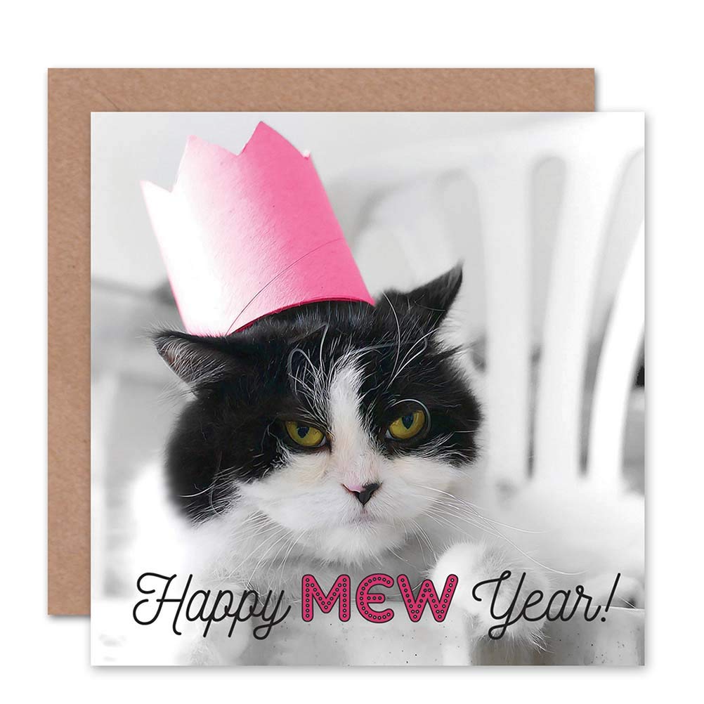 Wee Blue Coo CARD GREETING NEW YEAR HOGMANAY GRUMPY CAT MEW GIFT