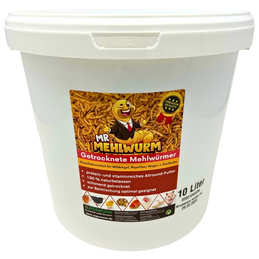 Mr. Mehlwurm 10 Liter getrocknete Mehlwürmer im Eimer (ca. 1,6 kg)- getrocknete Insekten - Top Premium Qualität, GRATIS Versand mit DHL - Futter Snack