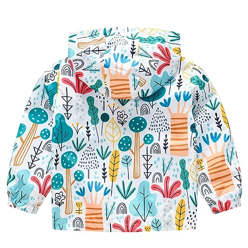 Toddler Boys Girls Dinosaur Windbreaker Lightweight Zip Up Baby Cute Floral Animals Graphic Jacket Long Sleeve2