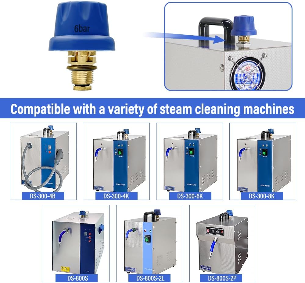 LABFENG 6Bar Pressure Relief Valve for Jewelry Steam Cleaner Attachment Jewelry Steamer Gem Washer Equipment -6 Bar Pressure Relief Valve for Steam Cleaning Machine