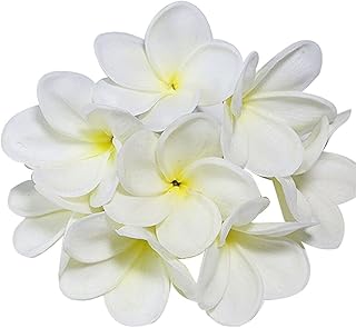 Winterworm Bunch of 10 PU Real Touch Lifelike Artificial Plumeria Frangipani Flower Bouquets Fake Wedding Cake Home Party ...