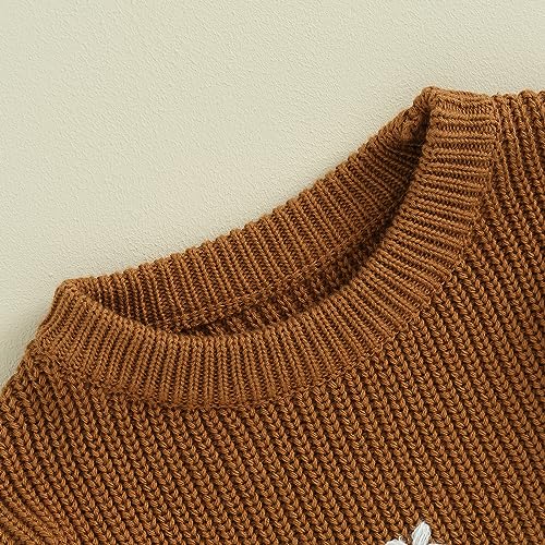 Toddler Baby Girl Knit Sweater Round Neck Long Sleeve Floral Embroidery Warm Pullover Tops Infant Fall Winter Clothes3