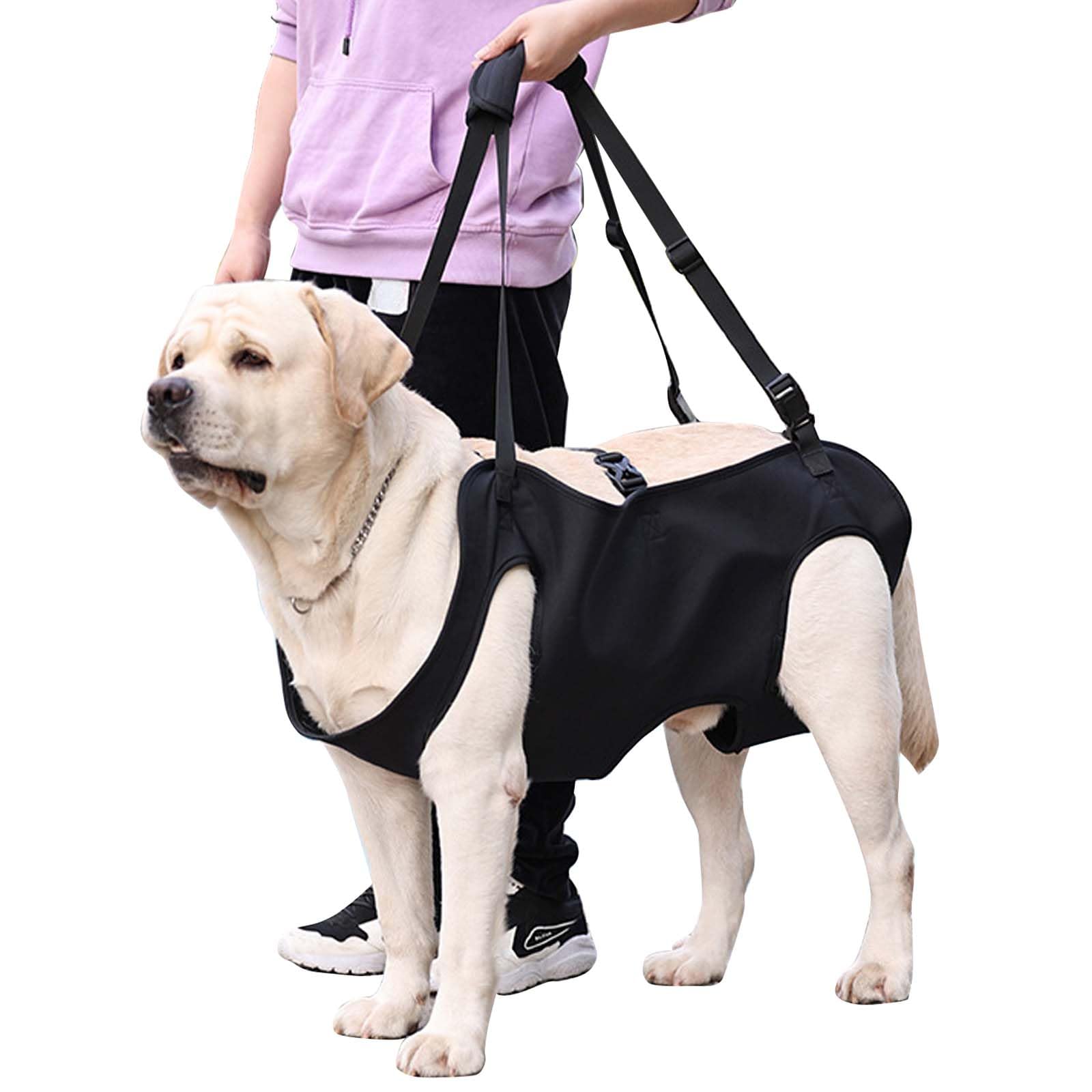 Harnais De Levage Pour Chiens De Grande Taille, Harnais De Soutien