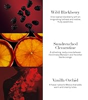 Vista 25 de Victoria's Secret Bare - Rollerball de Eau de Parfum