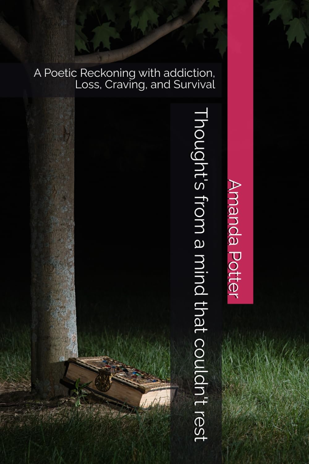 Thought's from a mind that couldn't rest: A Poetic Reckoning with addiction, Loss, Craving, and Survival