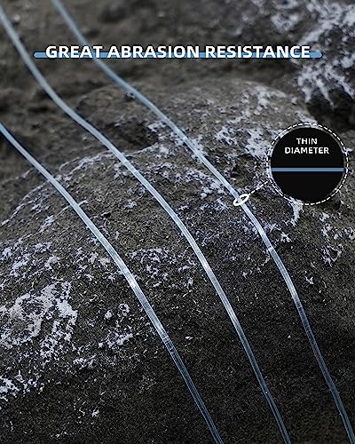 Image of BLUEWING Monofilament Fishing Line Clear Mono Fish Wire Thin Diameter String 6-400 lbs, 50-3000 Yards