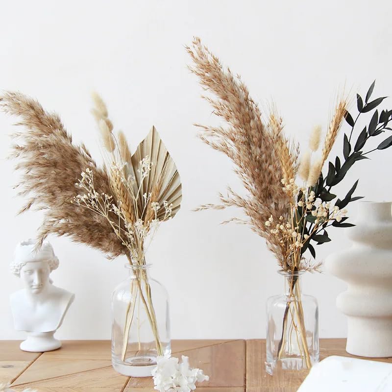 Pampas Grass Natural Seco Decorativo 30-35cm miniatura 4