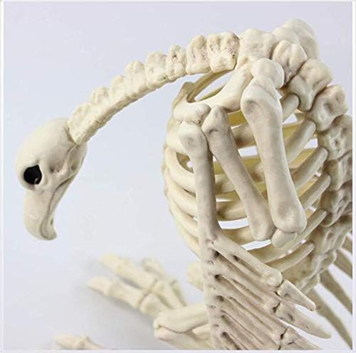 Halloween Esqueleto Buitre Animal Esqueleto Modelo Halloween Horror Esqueleto Buitre Animal Hueso Atrezzo Esqueleto Animal Decoración para Fiesta Decoración Inicio Casa Embrujada Ornamento