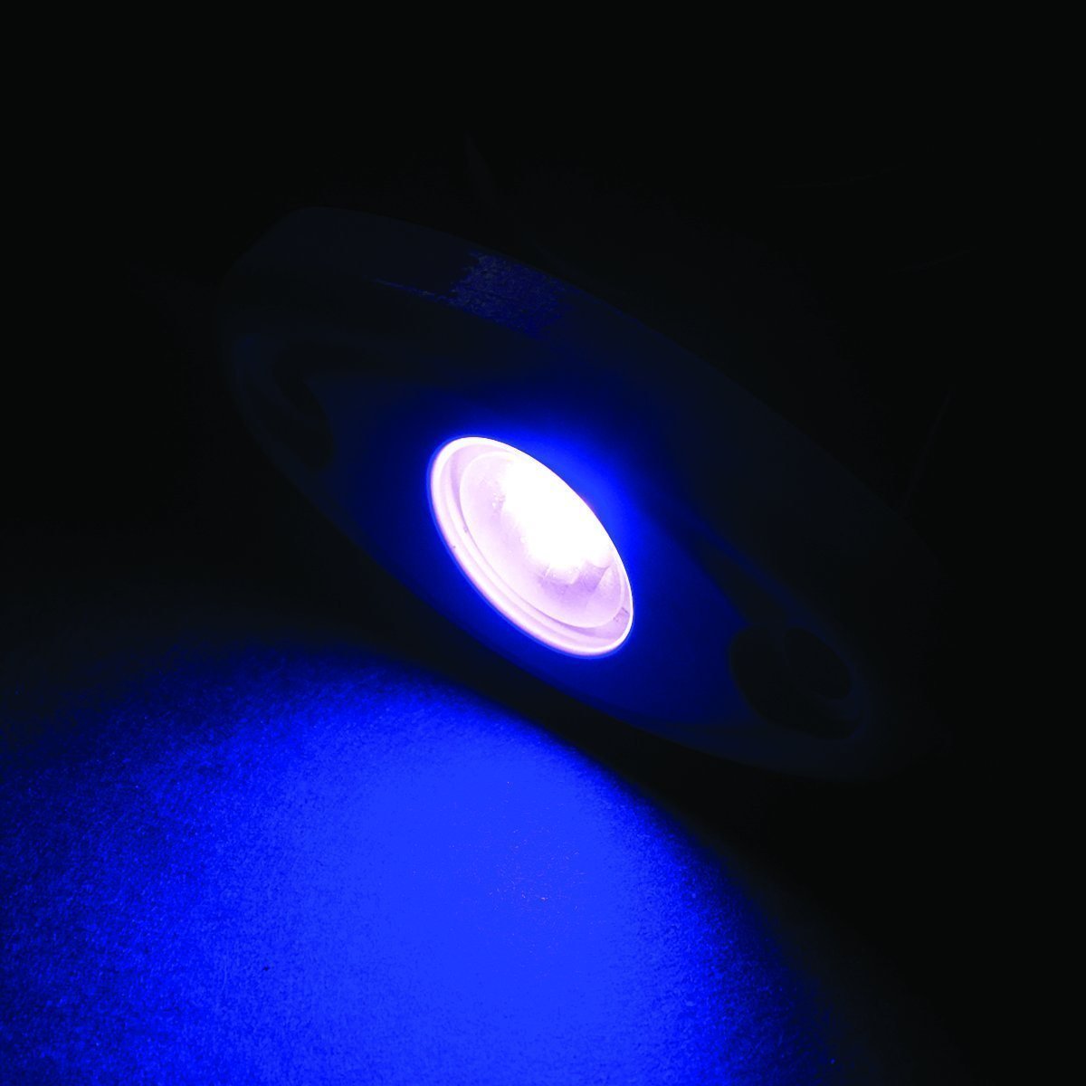 T-H Marine LED High Intensity Oval Courtesy (Rock) Light - Black Housing - Blue LED