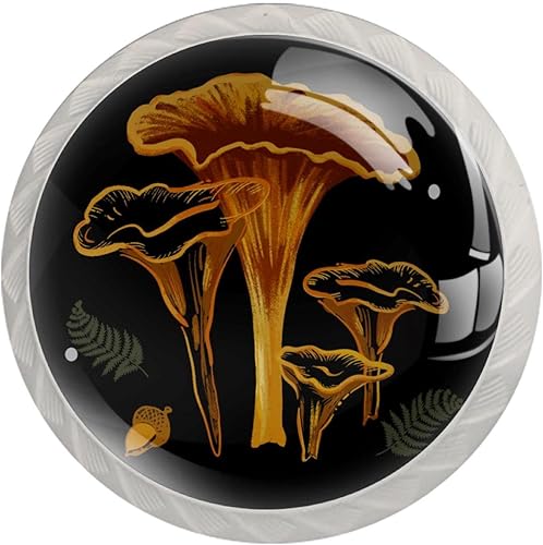 Paquete de 4 pomos decorativos de vidrio ABS con estampado de hongo, pomos de armario, pomos de cajón, manijas únicas para puertas de cocina, baño,