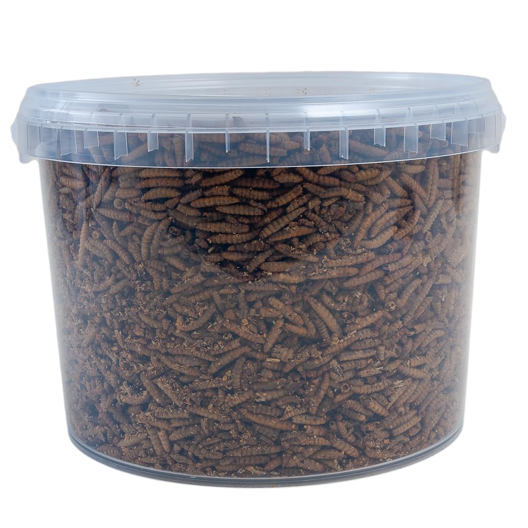 Walter Products Calci Worms 5L Tub - Bird Food for Wild Birds, Rodents and Amphibians - Packaged in a Reusable Bucket