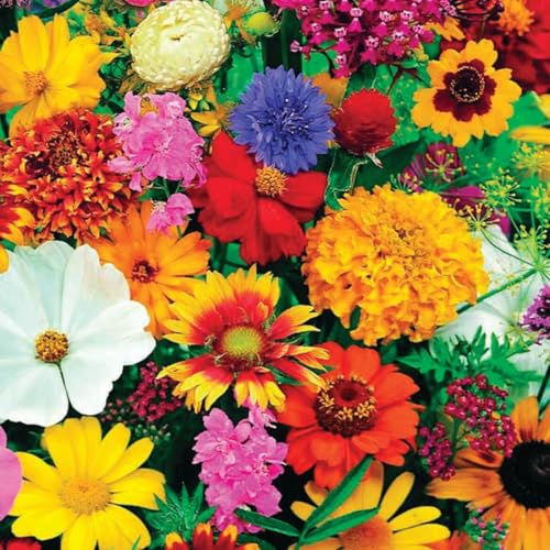 Gajula.Enterprises Butterfly & Hummingbird Roll-Out Seed Mat 60L x 20W Preseeded Flower Garden Mat