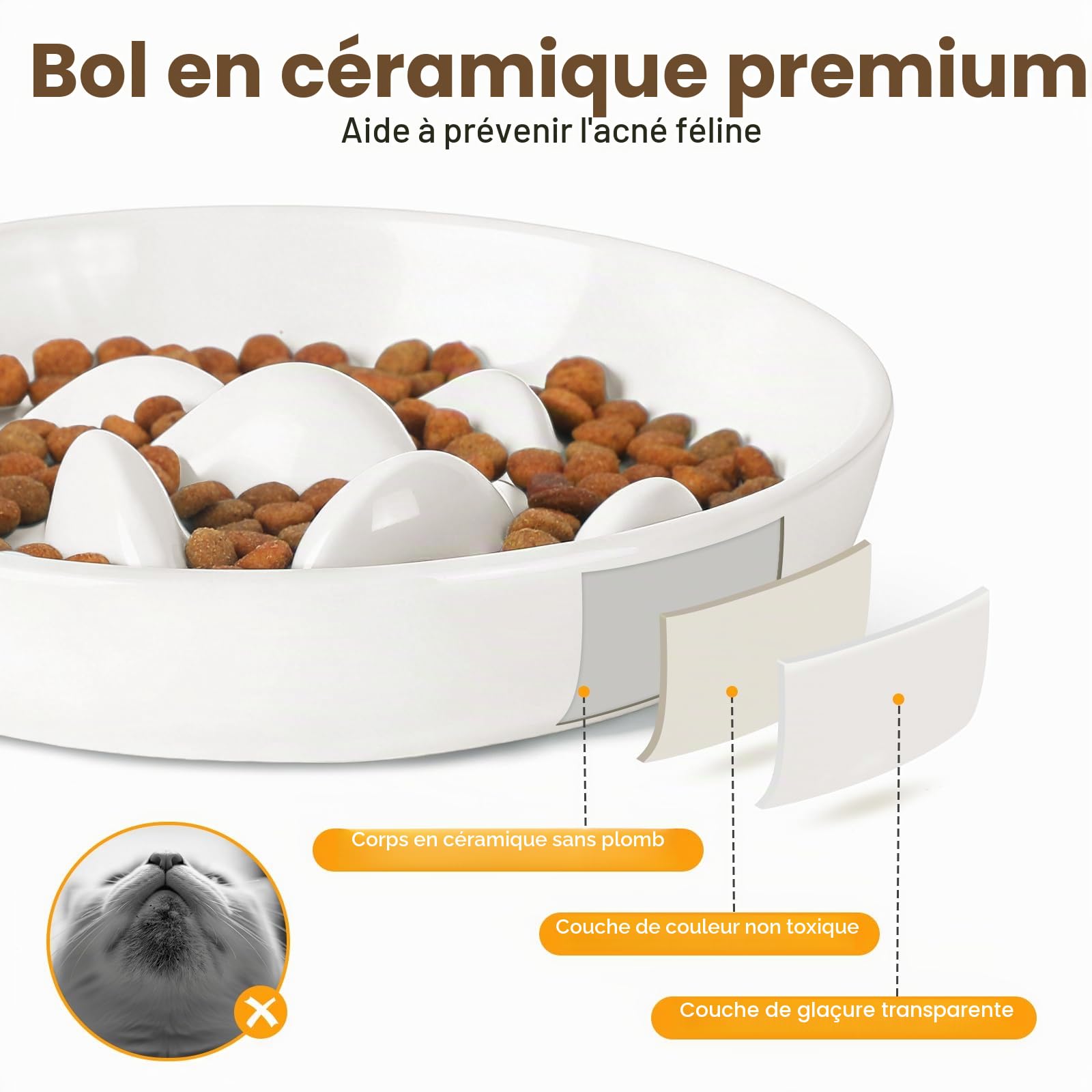 PETTOM Gamelle Anti Glouton Chat Céramique Surélevée avec Bambou Support, Anti Vomissements Gamelle pour Chat Manger Lentement pour Aliment Sec Humide (Blanc, Baleine)